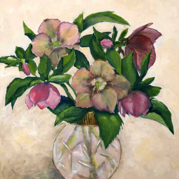 Helleborus in a Vase (Winter Rose)