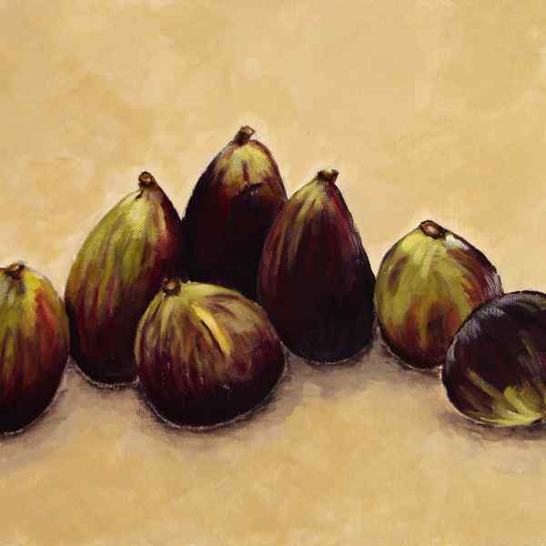 Figs