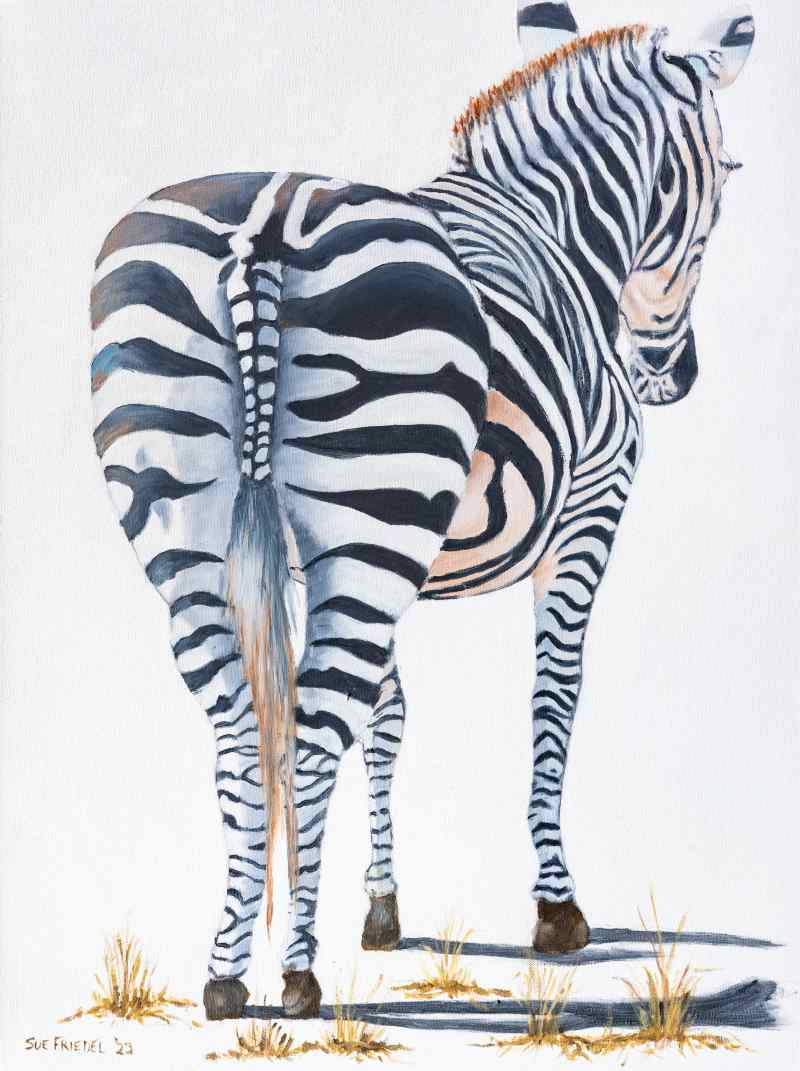 A Zebra's Tail